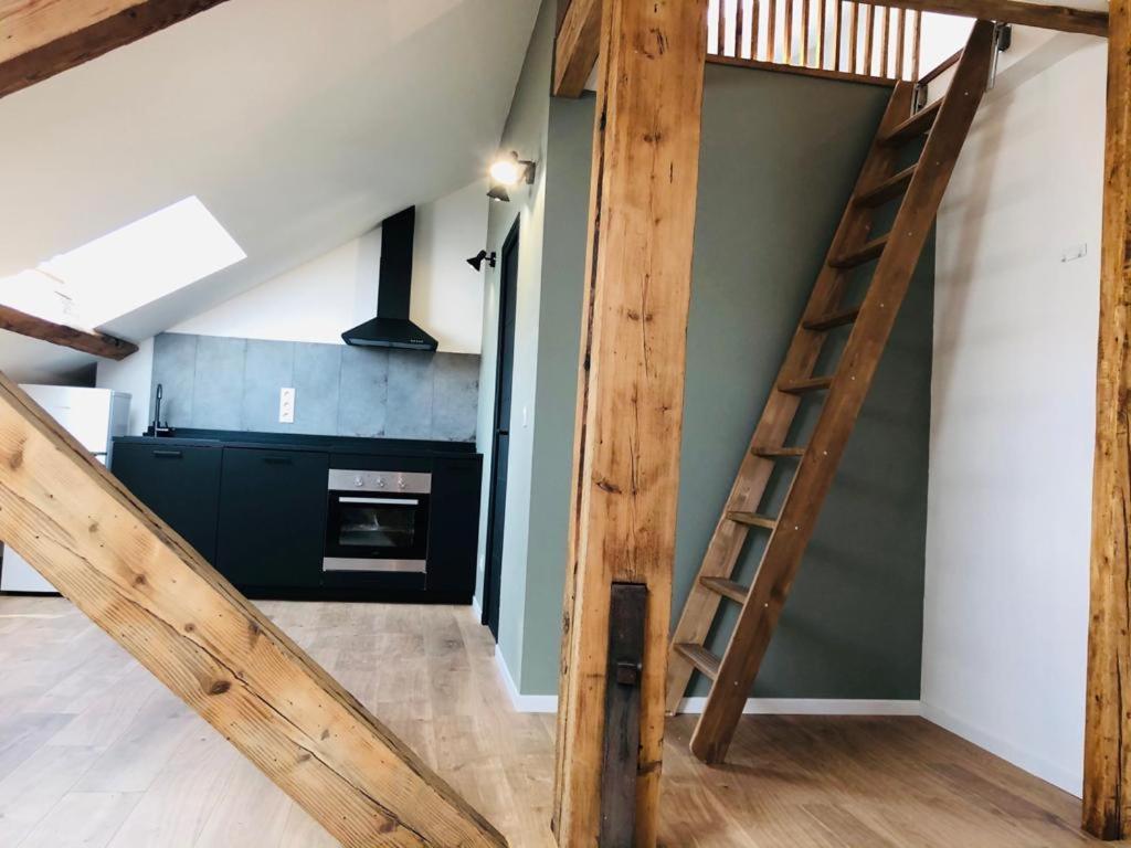 Les Appartements De Romain Et Julien Dijon Exterior foto