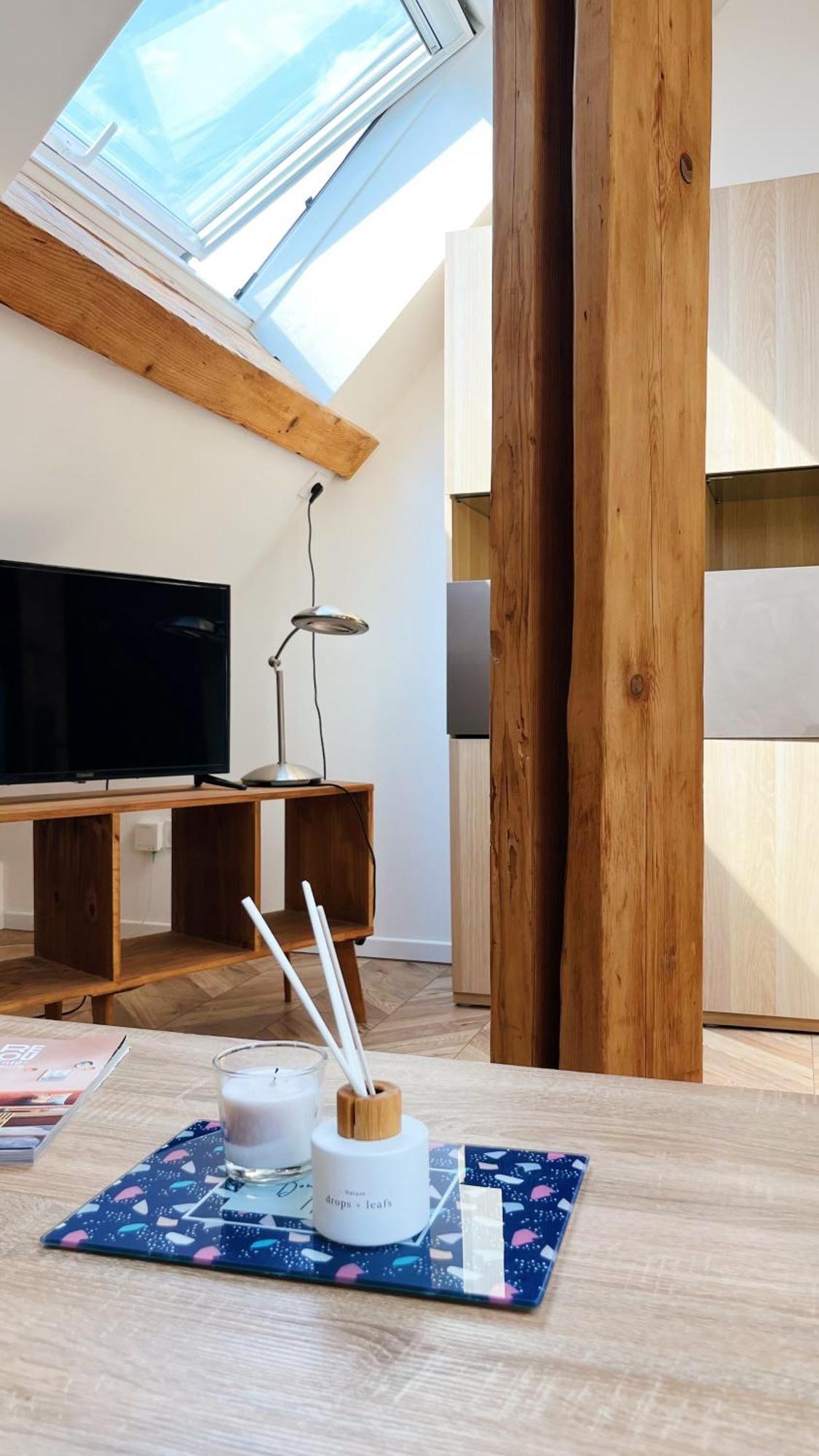 Les Appartements De Romain Et Julien Dijon Exterior foto