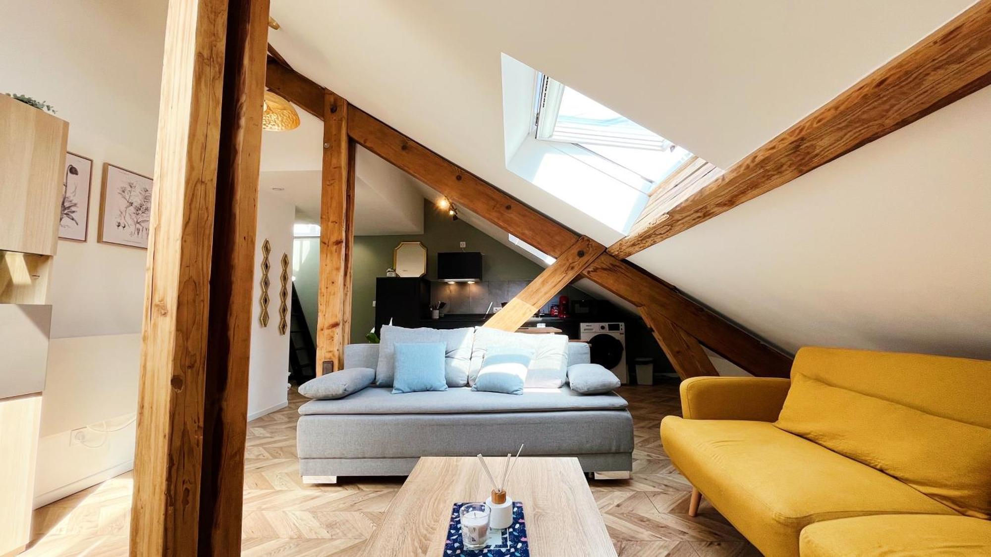 Les Appartements De Romain Et Julien Dijon Exterior foto